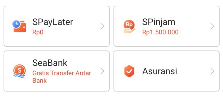 Mengenal Shopee PayLater Solusi Belanja Kini Bayar Nanti TigaPuluh