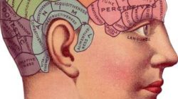 Mengenal peran dan fungsi Otak Kanan, sekaligus tips menjaga kesehatan otak kanan kita, pixabay