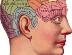 Mengenal peran dan fungsi Otak Kanan, sekaligus tips menjaga kesehatan otak kanan kita