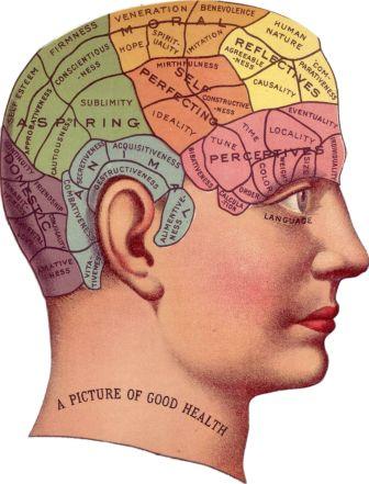 Mengenal peran dan fungsi Otak Kanan, sekaligus tips menjaga kesehatan otak kanan kita, pixabay