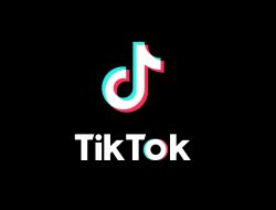 Cara Mengambil Video dari TikTok Orang Lain Secara Mudah dan Aman, Dijamin Bisa