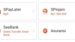 Mengenal Shopee PayLater: Fitur, Kelebihan, dan Cara Menggunakannya