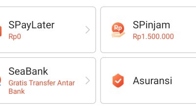 Pinjaman 500 Ribu Langsung Cair Tanpa KTP Dengan Shopee SPayLater Cicil