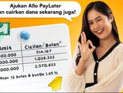 BNC itu apa? Lebih dari Sekedar Bank Layanan dan Kebutuhan Pelanggan