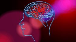 Stroke: Mengenal, Mencegah, dan Menangani Penyakit Mematikan Ini