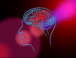 Stroke: Mengenal, Mencegah, dan Menangani Penyakit Mematikan Ini