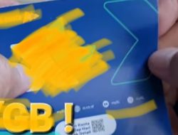 Mengenal 0877: Kartu XL Axiata, Wilayah – dan Kenapa Banyak Penipuan Menggunakannya, Ternyata …